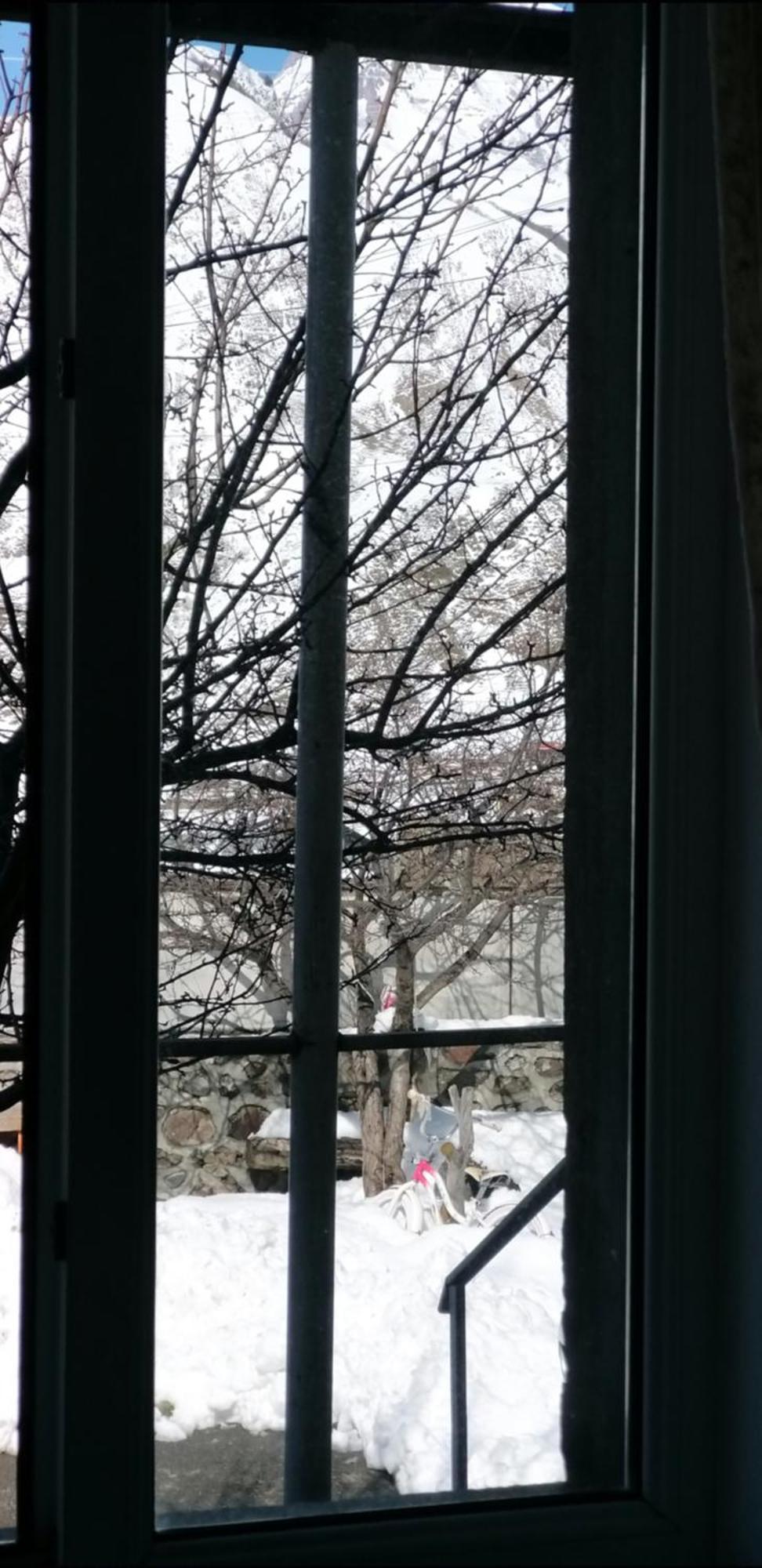 Guest House Misho 카즈베기 외부 사진